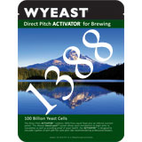 1388 Belgian Strong Ale