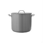 8 Gallon Stainless Steel Kettle with Tri-Clad Bottom