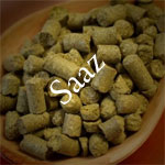 Saaz