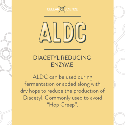CellarScience® ALDC | Diacetyl Reducing Enzyme