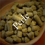 Perle