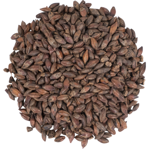 Roasted Malt
